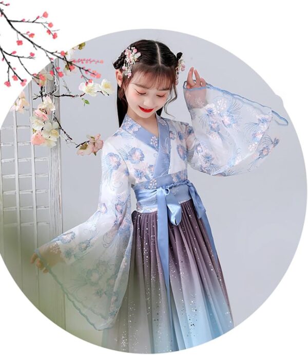 Deluxe Hanfu Chinese Costume For Girls,Kids Tang Dynasty Traditional Floral Embroidery Princess Dress.