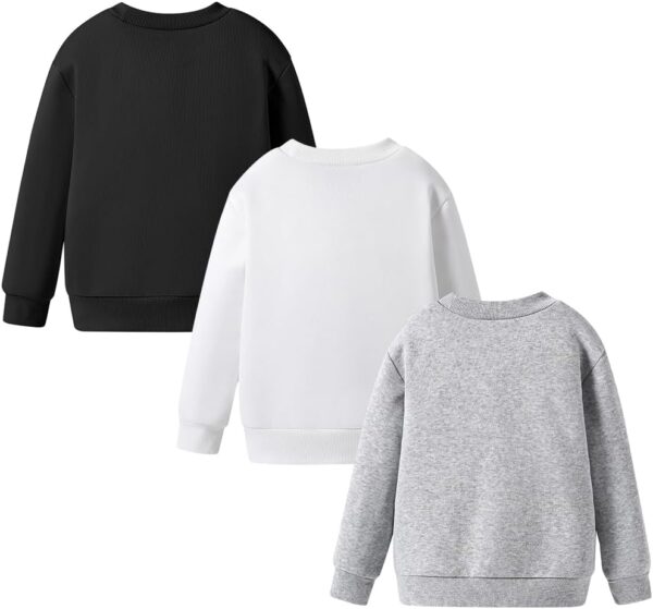 Toddler Boy Sweatshirt Set-Spider Print Warm Crewneck Sweatshirts-3 Pack Little Boys Warm Clothes Size(3-7 T)