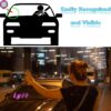 Light Sign for Car, Pink Light Decal for Car Windshield with Suction Cups, Car LED Light Sign with USB Interface-A1